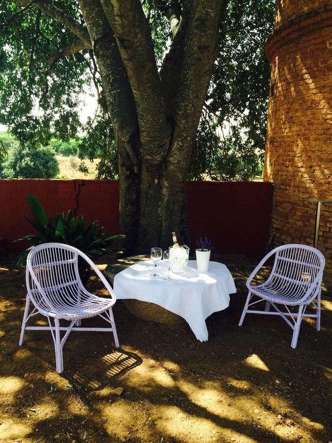 Villalon Finca El Bramadero旅馆 外观 照片
